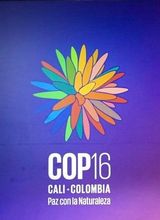 COP16 Logo auf einem lila Hintergrund
