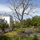 Der Botanische Garten im Mai. Foto: Swen Reichhold Diverse Pflanzen im botanischen Garten. Links daneben stehen Gewächshäuser.
