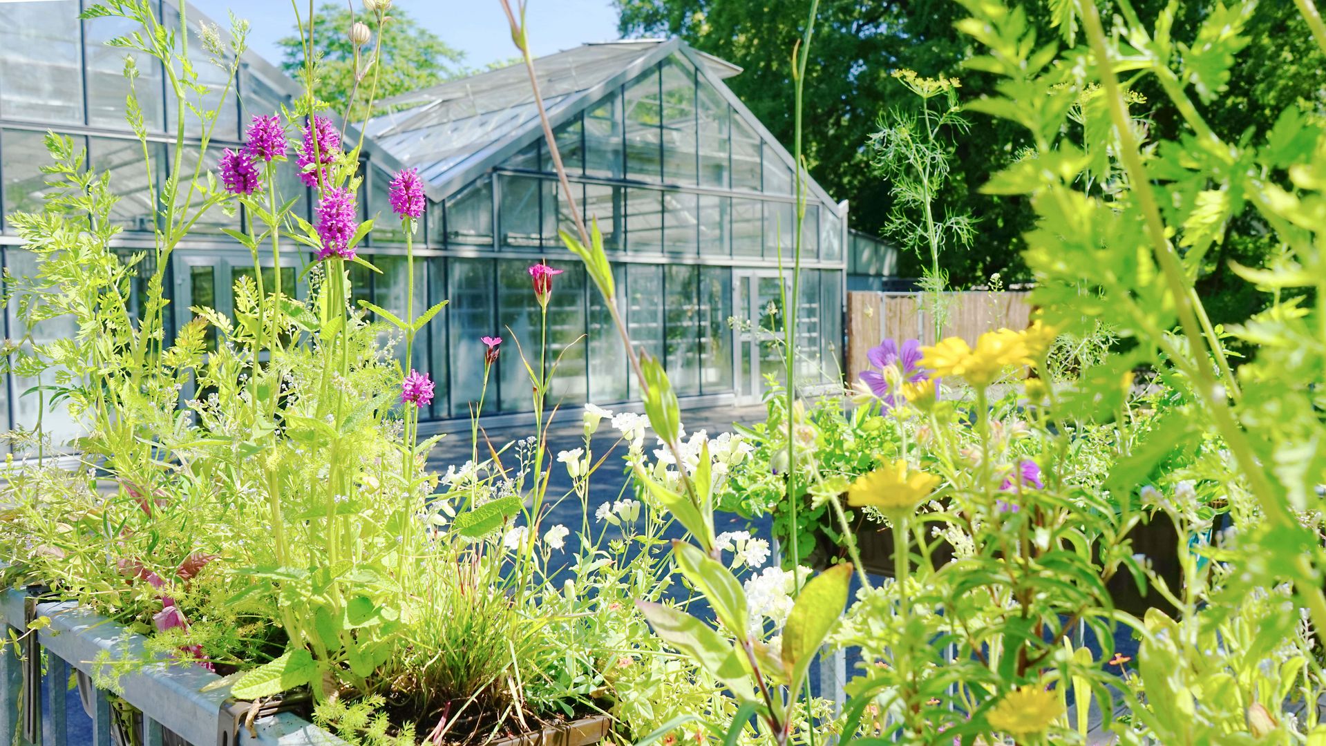 Universität Leipzig Gesucht Servicekraft im Botanischen Garten