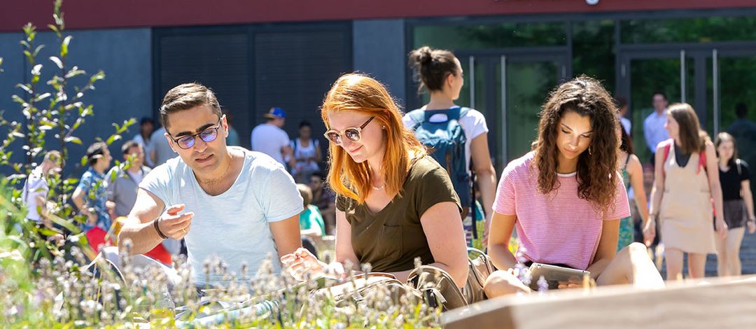 Junge Menschen sitzen im Innenhof des Campus Augustusplatz in der Sonne und sprechen miteinander oder lesen. Im Vordergrund sind noch die Grünpflanzen an den Bänken zu sehen.