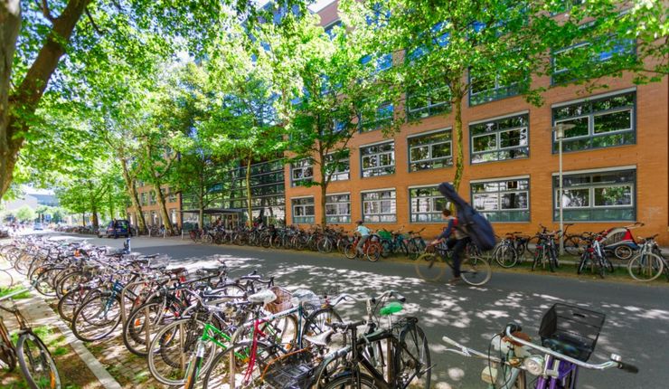 Baumallee und volle Fahrradständer vor dem Geisteswissenschaftlichen Zentrum im Musikviertel