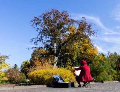 Eine Studierende im rotem Mantel sitzt vor dem herbstlichen Pflanzen im botanischen Garten und zeichnet.